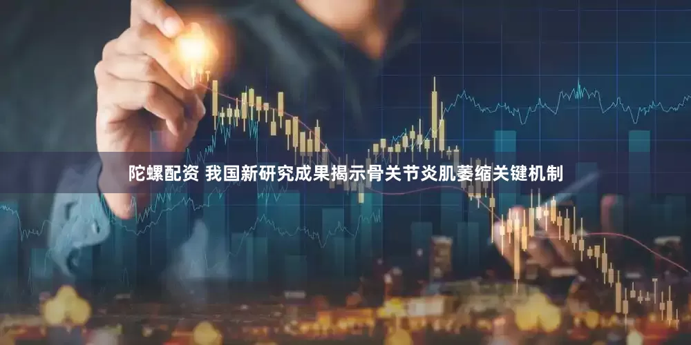 陀螺配资 我国新研究成果揭示骨关节炎肌萎缩关键机制